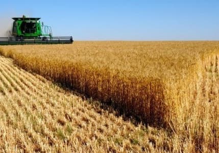 Tarım ÜFE şubatta yıllık yüzde 68,49 arttı
