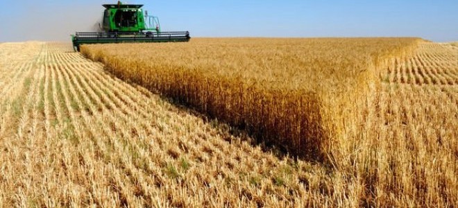 Tarım ÜFE Temmuz’da Arttı