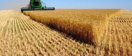 Tarım ÜFE Temmuz’da Arttı