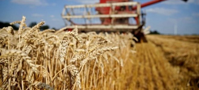 Tarım ÜFE temmuzda artış gösterdi