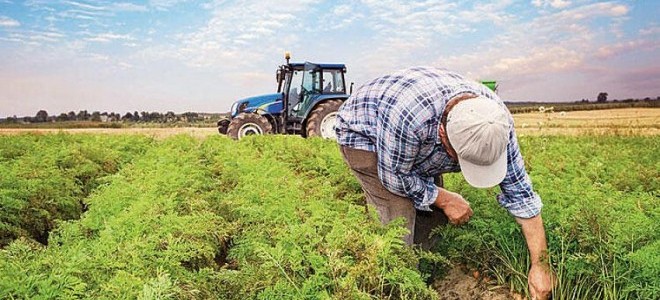 Tarım ÜFE temmuzda arttı