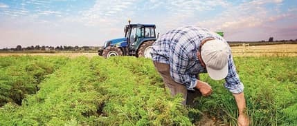 Tarım ÜFE temmuzda arttı