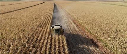 Tarım ÜFE temmuzda arttı