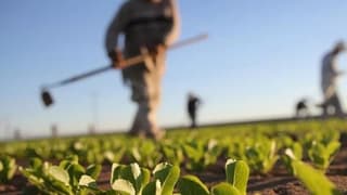 Tarım ÜFE yıllık bazda yüzde 169,45 arttı