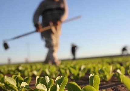 Tarım ÜFE yıllık bazda yüzde 169,45 arttı