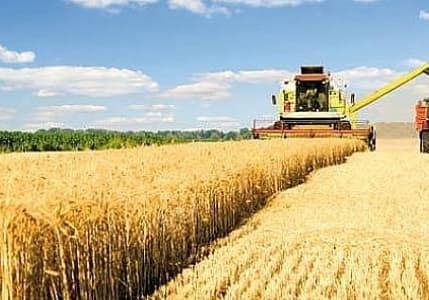 Tarım ÜFE yıllık yüzde 36,39 arttı
