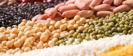 Tarım ürünler ÜFE Eylül’de arttı