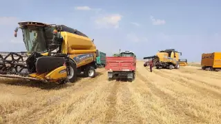 Tarım ürünleri ihracatında tüm zamanların rekoru kırıldı