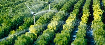 Tarım ÜFE ağustosta %19,7 yükseldi