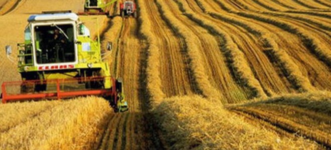 Tarım ürünleri üretici fiyatları Kasım’da arttı