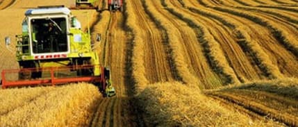 Tarım ürünleri üretici fiyatları Kasım’da arttı