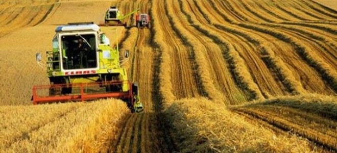 Tarım ürünleri üretici fiyatları Mart’ta arttı