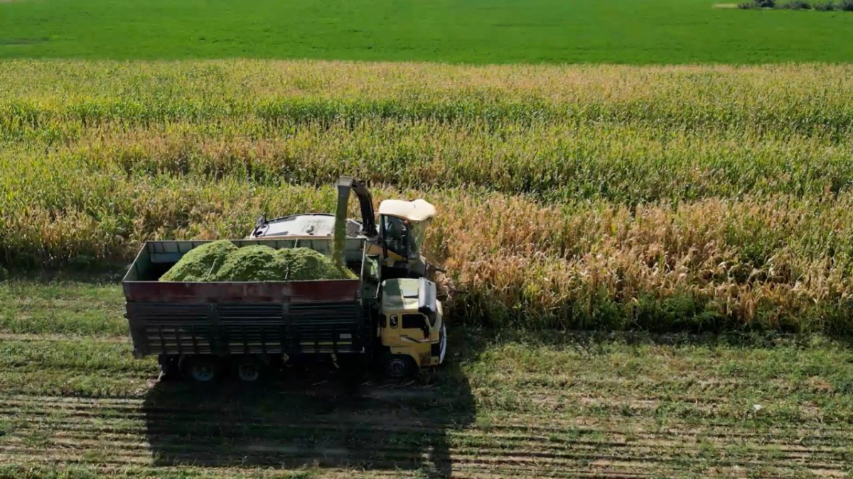 Tarım ve gıda yatırımlarına 10 milyon dolara kadar finansman desteği
