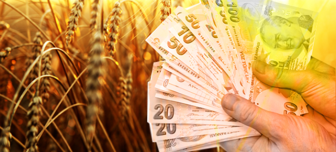 Tarıma Yatırım Suriye’nin Geleceği İçin Hayati Önemde 