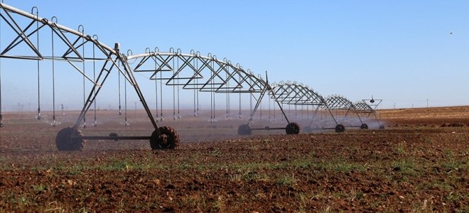 Tarımda AR-GE Destek Programı kapsamında yeni çağrı açılıyor