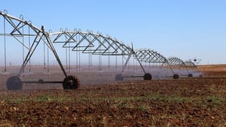 Tarımda AR-GE Destek Programı kapsamında yeni çağrı açılıyor