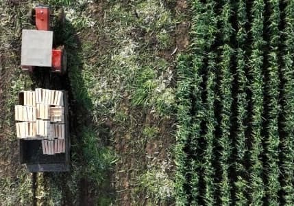 Tarımda derecelendirme dönemi başladı