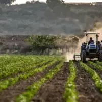 Tarımda maliyet artışı hızlandı