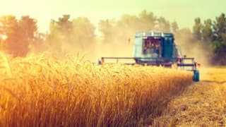 “Tarımda sanayileşmeye ihtiyacımız var”