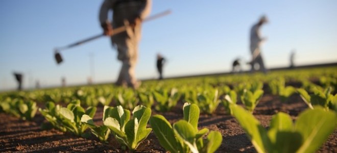 Tarımda üreticinin enflasyonu belli oldu
