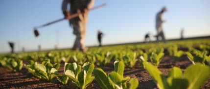 Tarımda üreticinin enflasyonu belli oldu