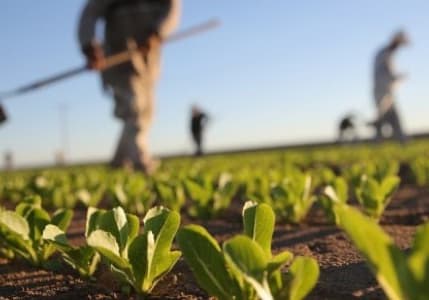 Tarımda üreticinin enflasyonu belli oldu