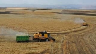 Tarımda üreticinin enflasyonu belli oldu 