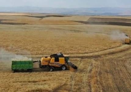 Tarımda üreticinin enflasyonu belli oldu 