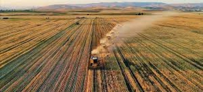 Tarımda üretim planlaması gelecek yıl hayata geçirilecek