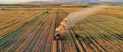 Tarımda üretim planlaması gelecek yıl hayata geçirilecek