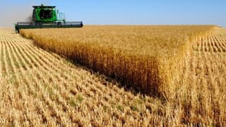 Tarımda uzmanlığa hibe desteği