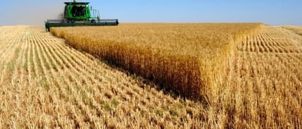 Tarımda uzmanlığa hibe desteği