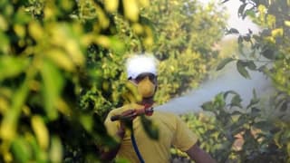 Tarımda yeni dönem: 5 soruda 