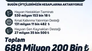Tarımsal destek ödemeleri bugün üreticilerin hesaplarına geçiyor