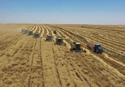 Tarımsal destek ödemeleri çiftçilerin hesabına yatırılıyor
