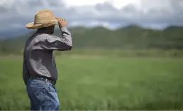 Tarımsal emtiada iklim ve navlun telaşı