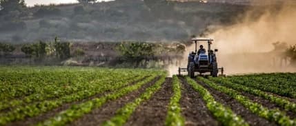 Tarımsal girdi enflasyonu mayısta yükseldi