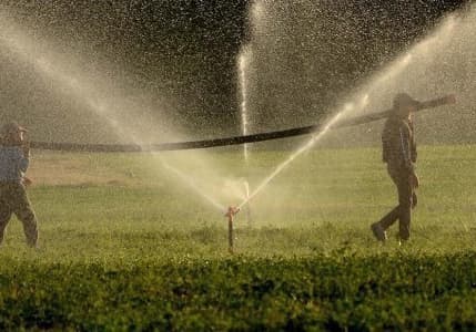 Tarımsal girdi enflasyonunda sınırlı yükseliş
