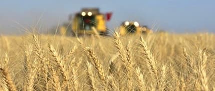 Tarımsal Girdi Fiyat Endeksi mayısta arttı