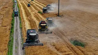 Tarımsal girdi fiyatları haziranda geriledi