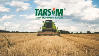 TARSİM'de devlet desteği sınırları netleşti