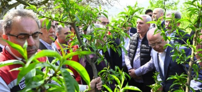 TARSİM poliçesi olmayan üreticilere de destek geliyor