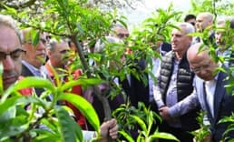 TARSİM poliçesi olmayan üreticilere de destek geliyor
