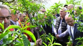 TARSİM poliçesi olmayan üreticilere de destek geliyor