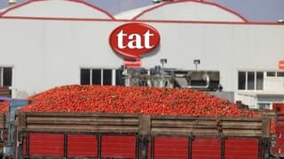 Tat Gıda'nın yeni sahipleriyle büyük başarısı: Dev kamu ihalesi