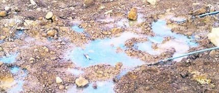 TEMA Vakfı anlattı: Altın madenciliği ve siyanürle altın arama süreci