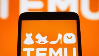 Temu’dan sadece 8 çalışanla 120 milyon dolarlık vergi öncesi kar