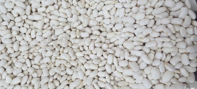 Tescilli Organik Fasulye Fındık Fiyatını Üçe Katladı!