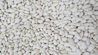 Tescilli Organik Fasulye Fındık Fiyatını Üçe Katladı!