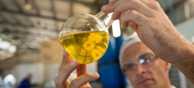 Avrupa'da sahte zeytinyağı vakaları rekor seviyeye ulaştı